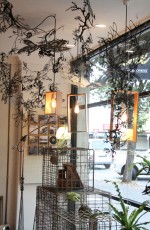 On Stone installation - window 2013 by Fiona Cabassi