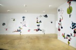 Swoop,fall and flutter 2005 by Fiona Cabassi